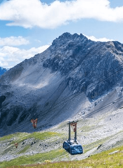 alpine-line_250x341